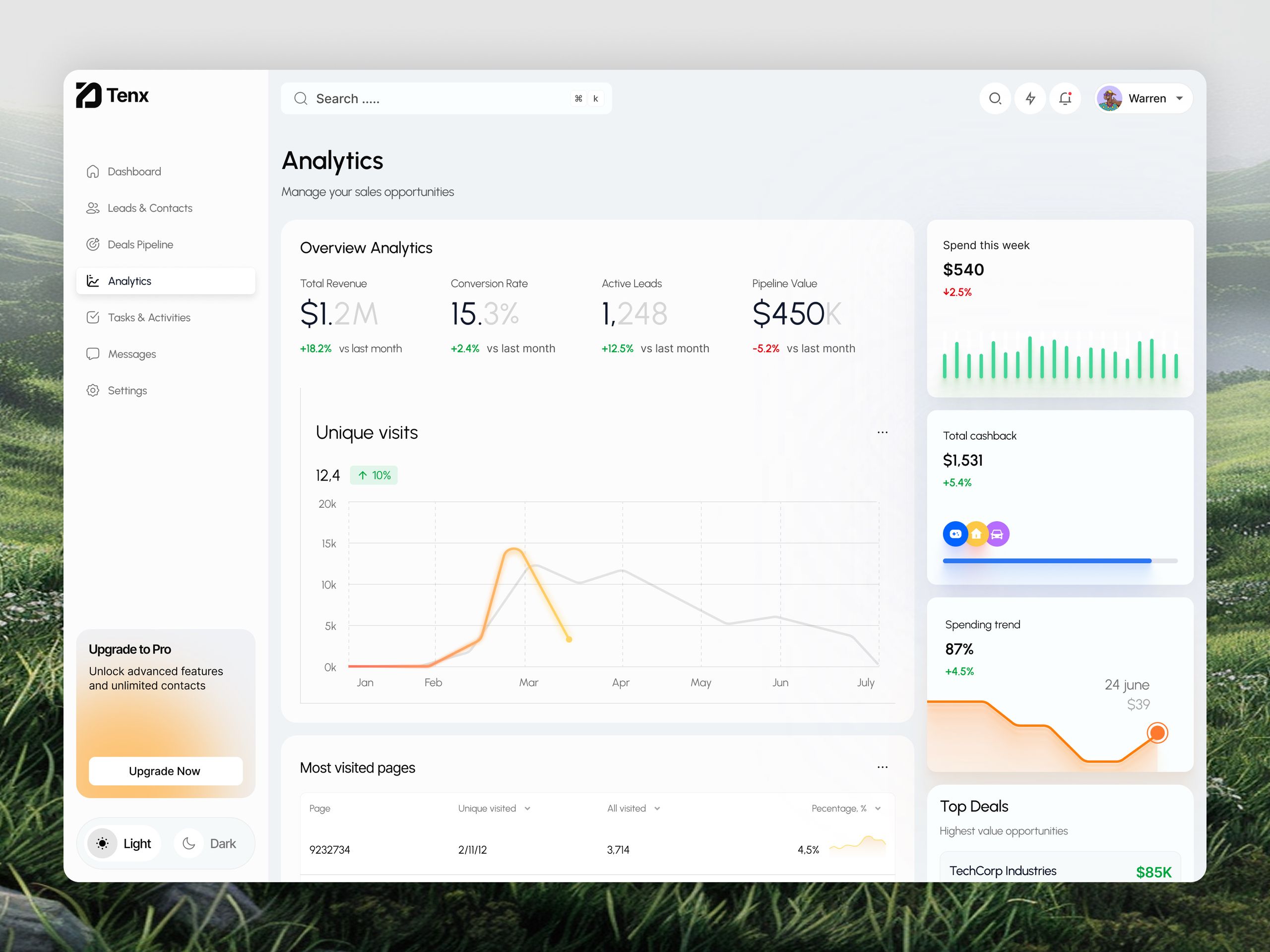 CRM Analytics